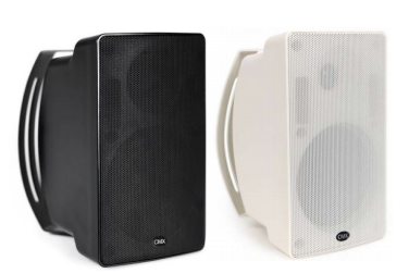 კედელზე სამონტაჟო დინამიკი